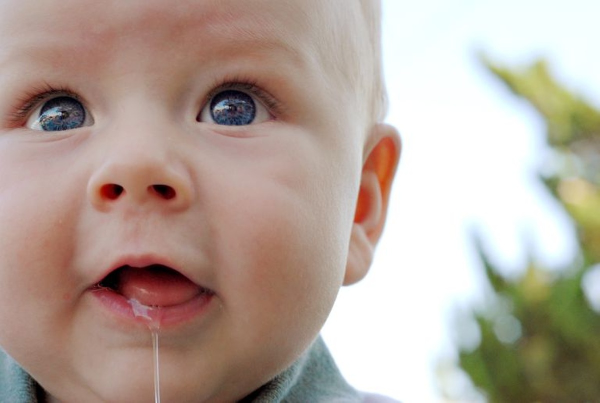 fun and simple facts about saliva